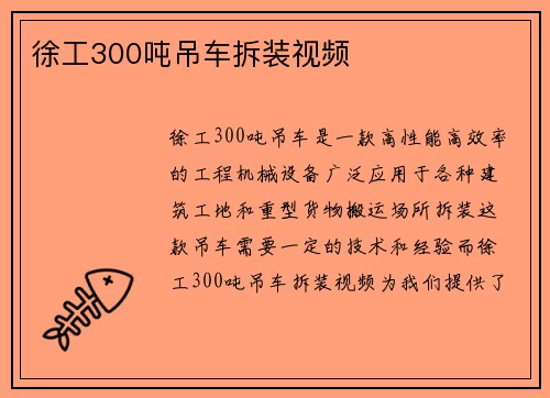 徐工300吨吊车拆装视频